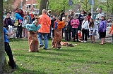 Zaklopen049